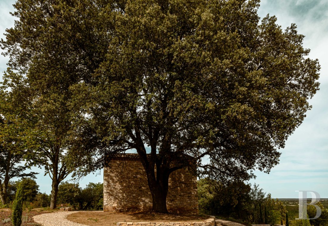 Dans le Gard, en bordure de l’Ardèche, un ancien mas restauré au milieu des oliviers, des vignes et des lavandes - photo  n°5